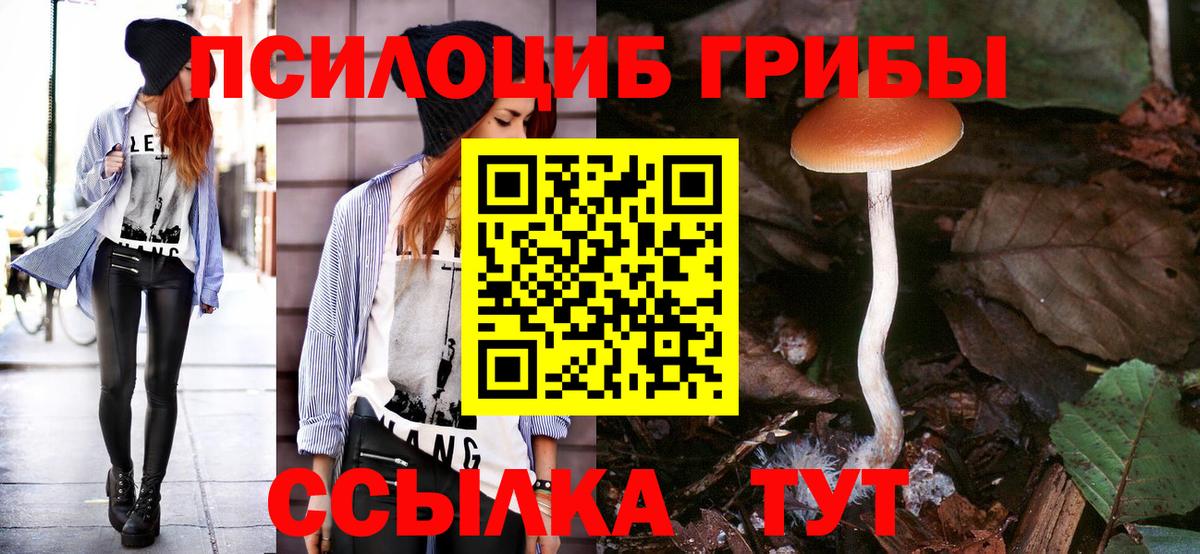 Галлюциногенные грибы Psilocybine cubensis Копейск