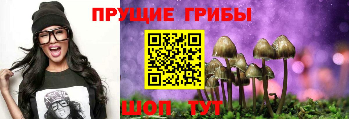 Псилоцибиновые грибы прущие грибы  Галлюциногенные грибы мицелий  Вход с VPN  Копейск 